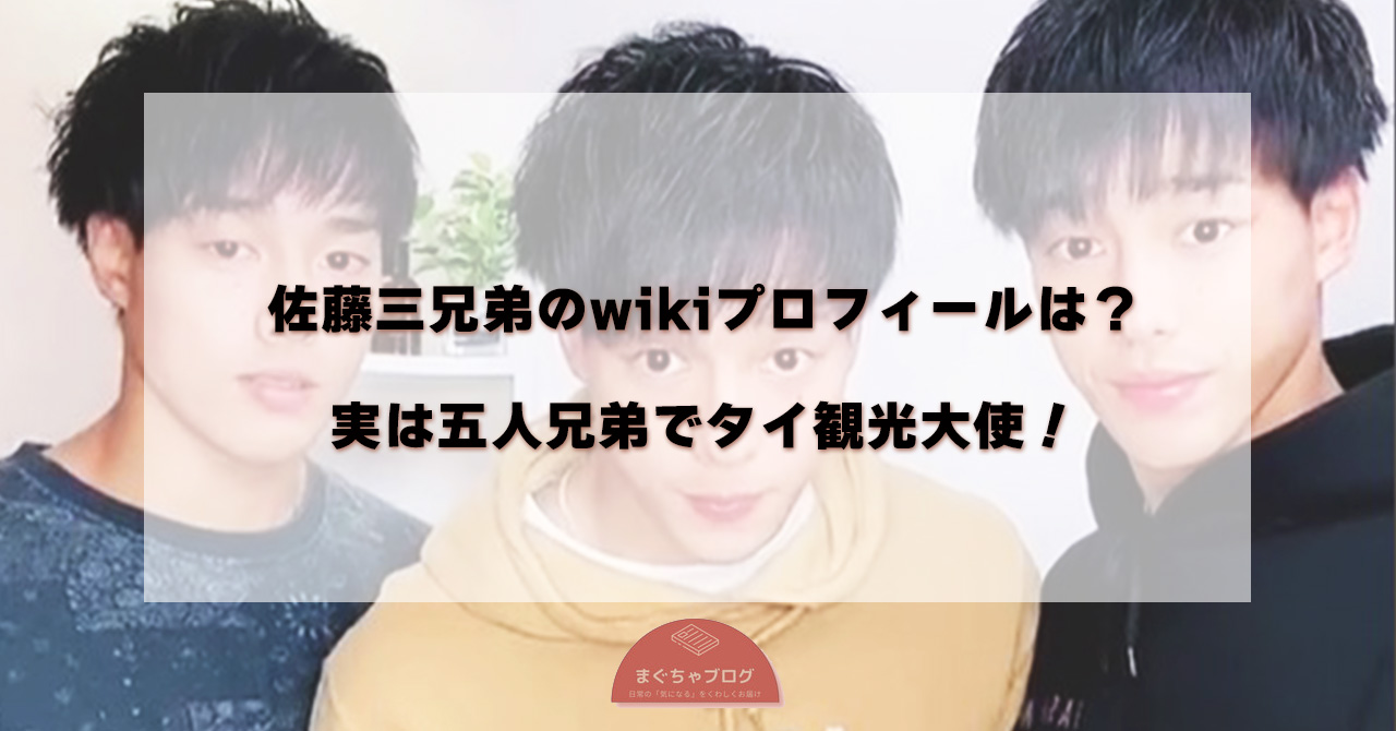 佐藤三兄弟のwikiプロフィールは?実は五人兄弟でタイ観光大使! | まぐちゃブログ
